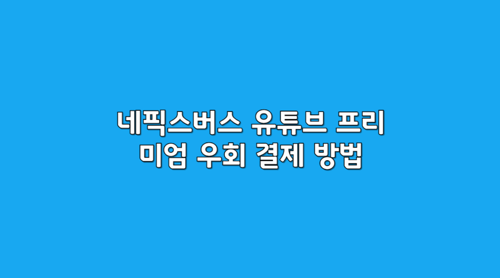 우회결제