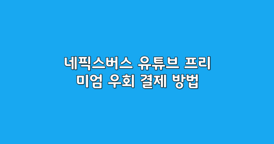 우회결제